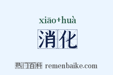 消化是什么意思的图片
